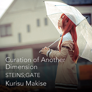 Curation of Another Dimension