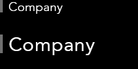 Company